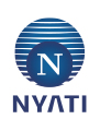 Nyati Esteban II Logo